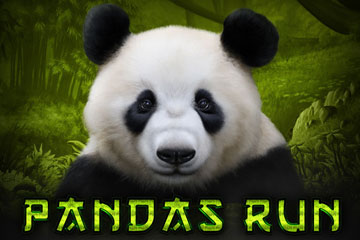 Panda's Run