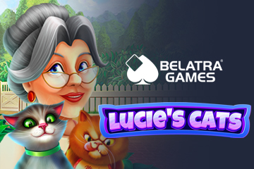Lucies cats