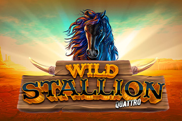 Wild Stallion