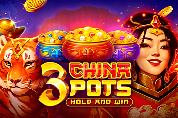 3 China Pots