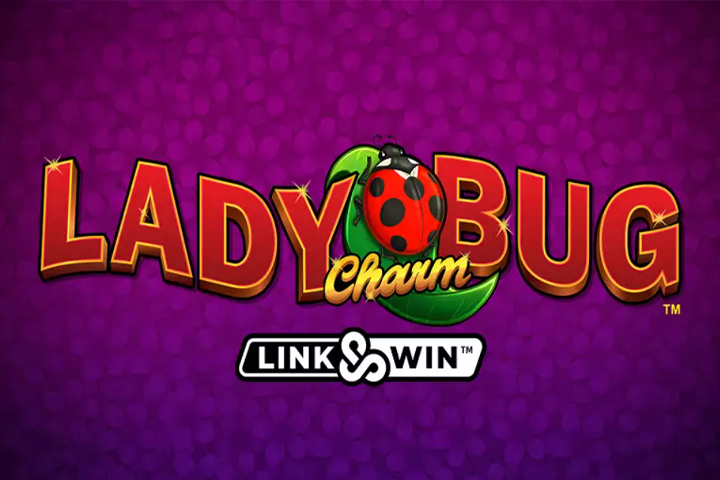 Lady Charm Bug