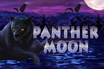 Panther Moon